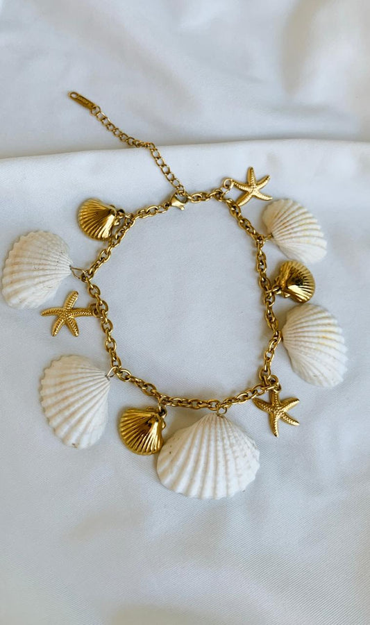 Seashell Bracelet